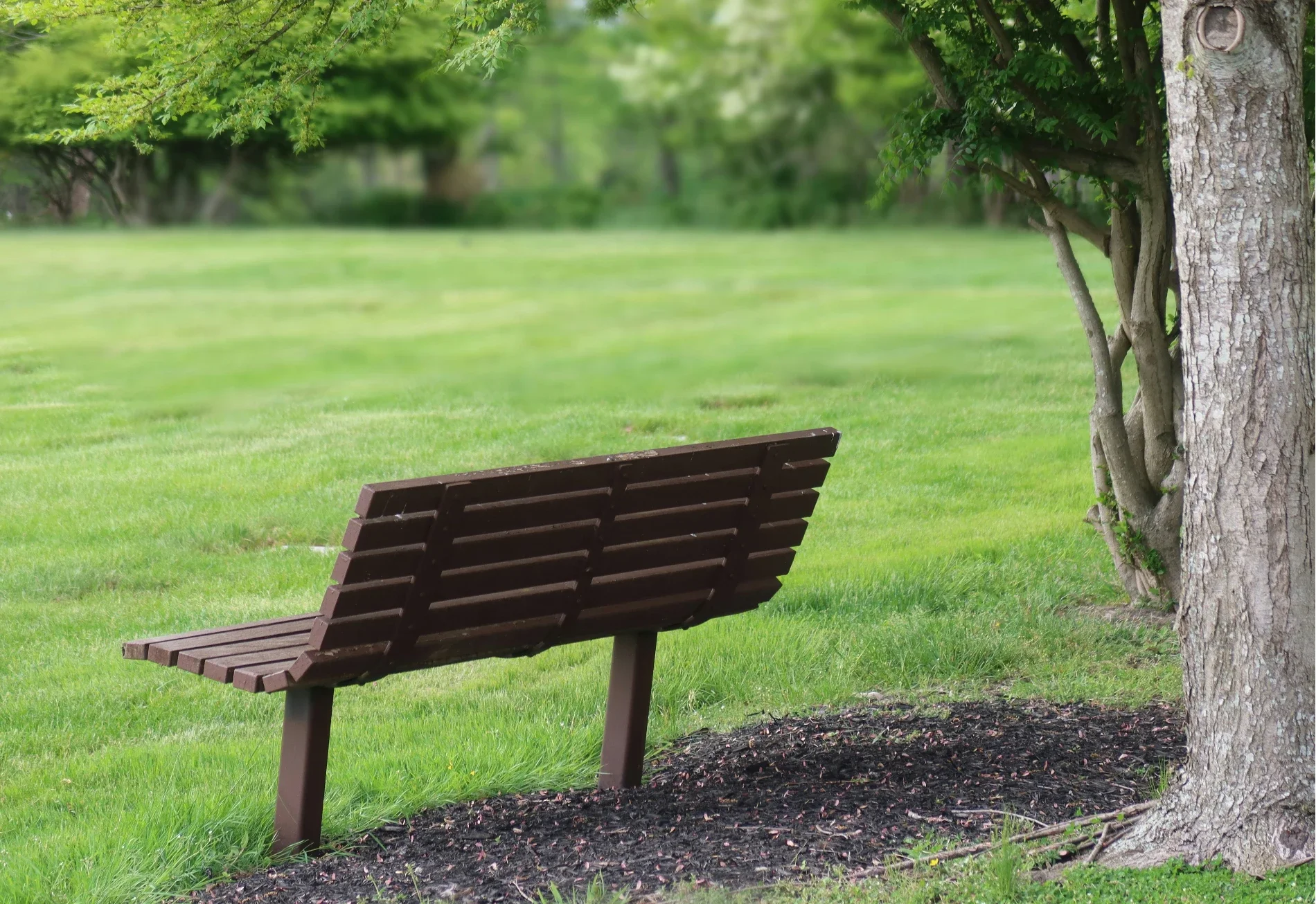 Grief & Bereavement